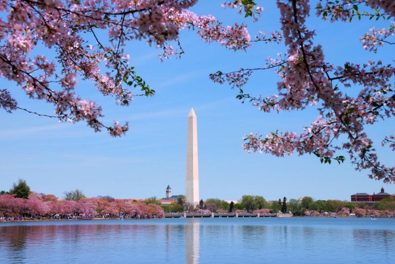 Must-See Sights in Washington D C: Capital City of USA.