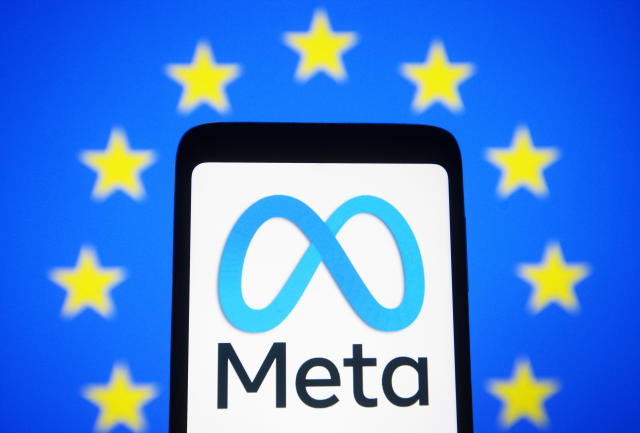 Meta instructed to review the regulatory framework for EU personalized advertisements.