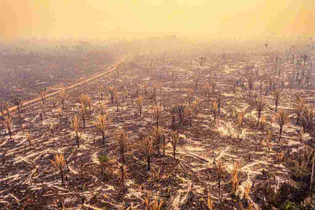 New Study Claims More Evidence Is Neededto Prove the Possibility of Human Extinction