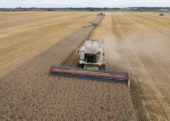 Poland requests that the EU maintain the ban on Ukrainian grain in order to safeguard farmers and avoid a surplus.