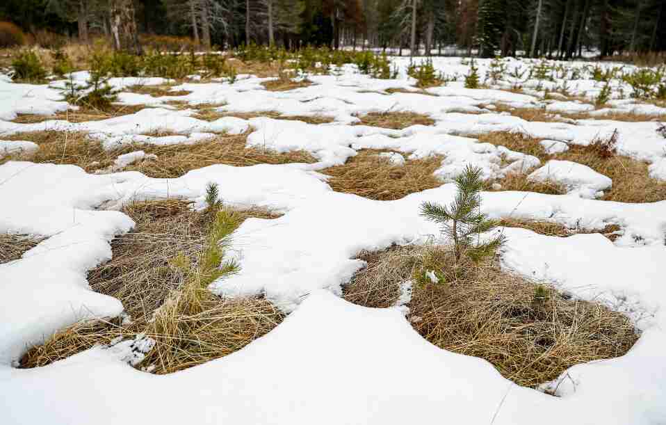 Snowpack is decreasing due to climate change in several areas, according to a study. It will only get worse.