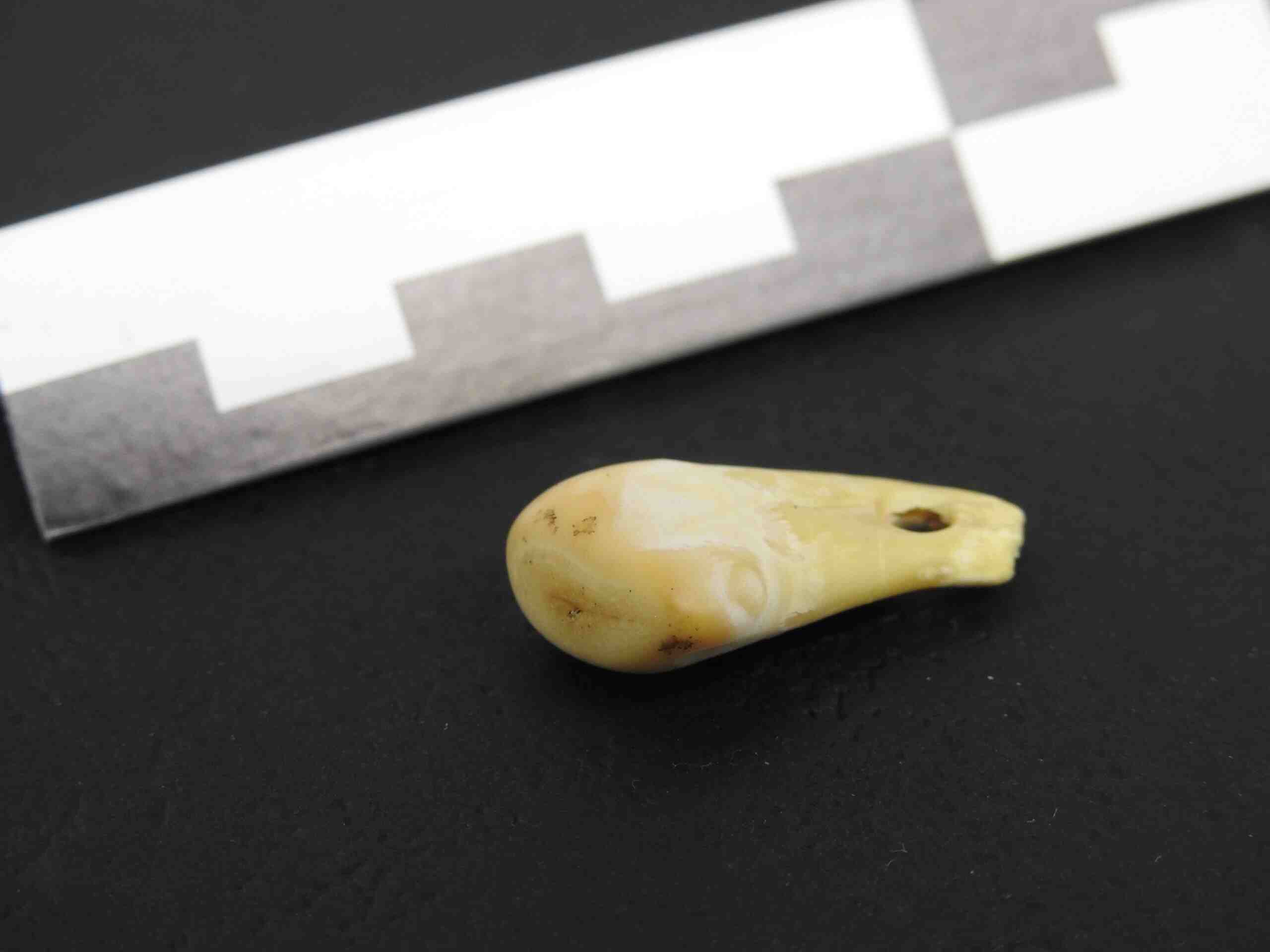 The pendant dates back 20,000 years. Old DNA reveals who wore it.