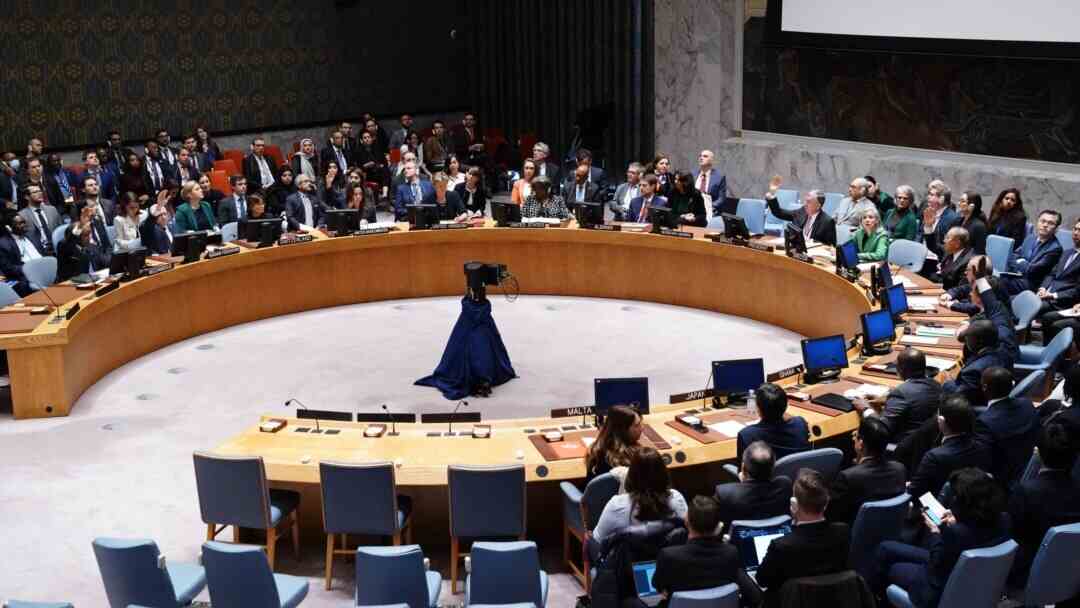 US rejects request from UN Security Council for Gaza humanitarian ceasefire