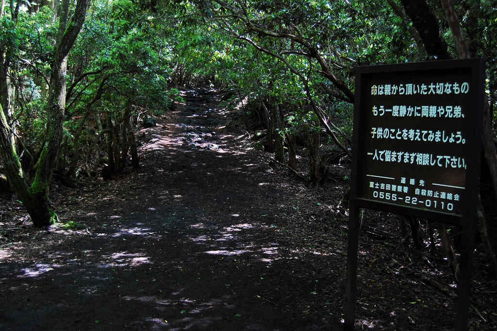 Suicide Forest in Japan