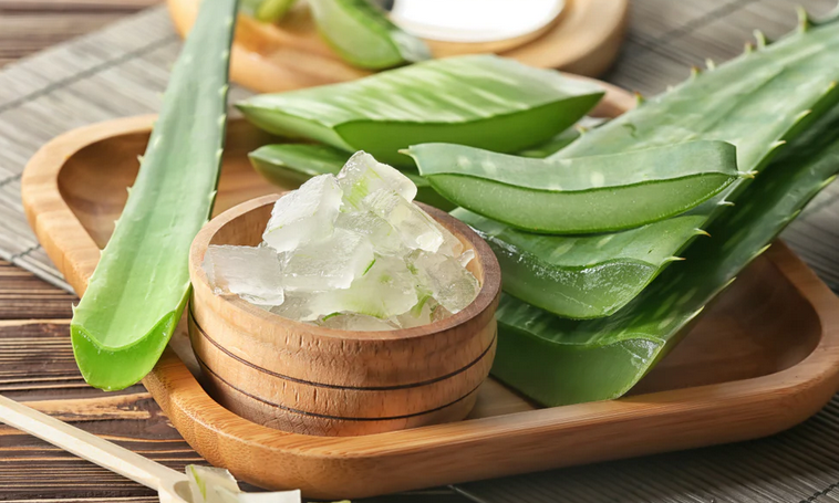 The Benefits of Aloe Vera Paste for Winter Skin Care: A Natural Remedy for Dryness