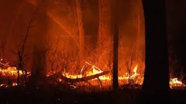 Massive Wildfire Engulfs Israel, State of Emergency Declared Massive Wildfire Engulfs Israel, State of Emergency Declared