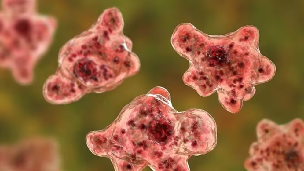 19 Dead in Kerala Due to ‘Brain-Eating’ Amoeba Infection, Health Alert Issued